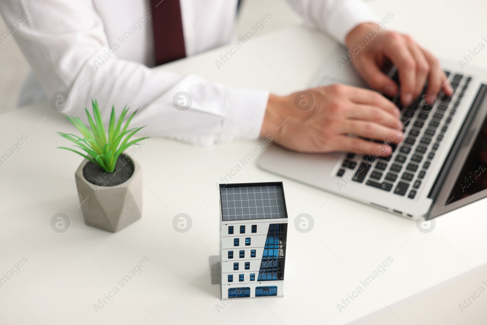 Photo of Real estate agent working with laptop at white table, focus on apartment building model and decorative plant