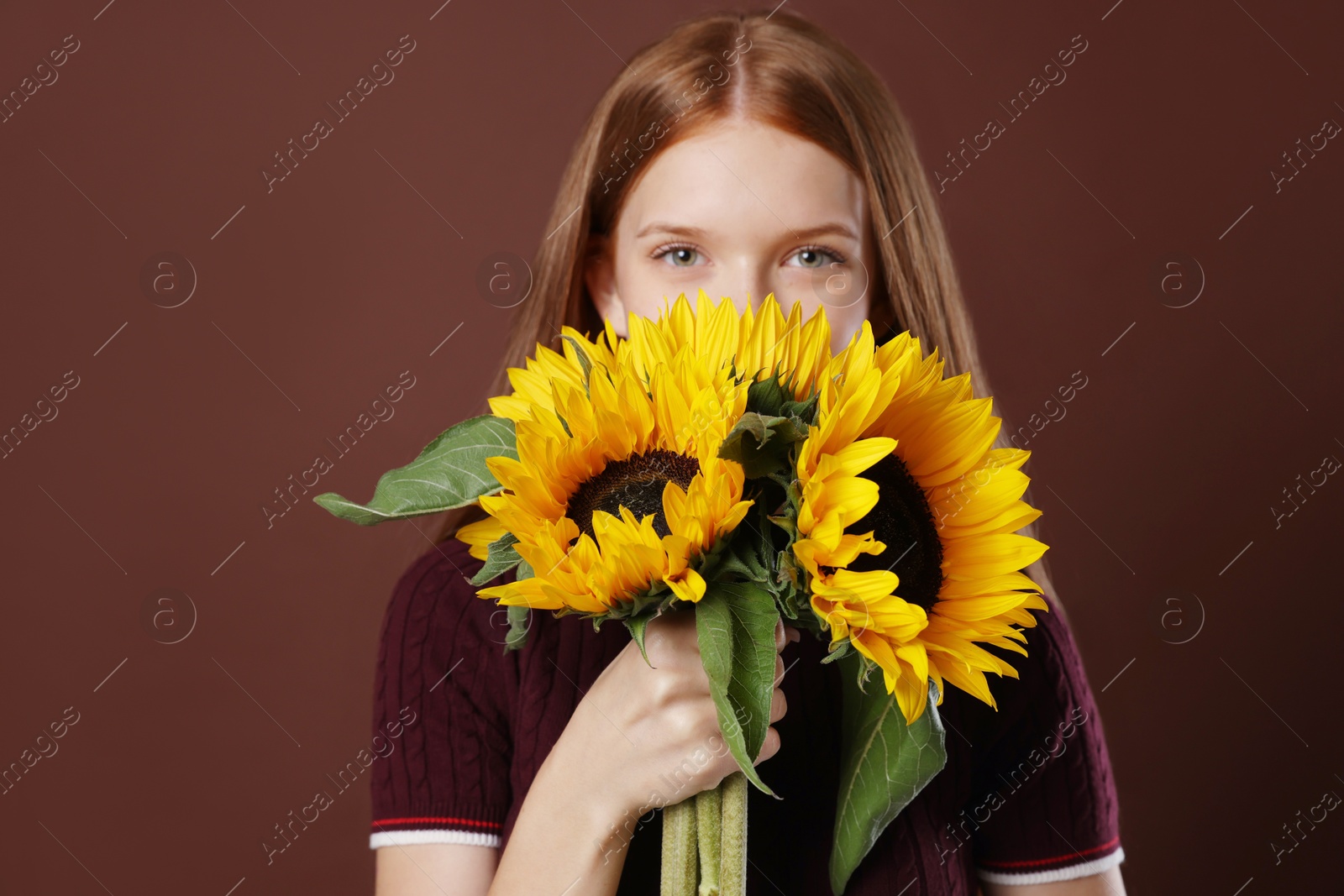 Photo of Teenage girl with bouquet of beautiful sunflowers on brown background