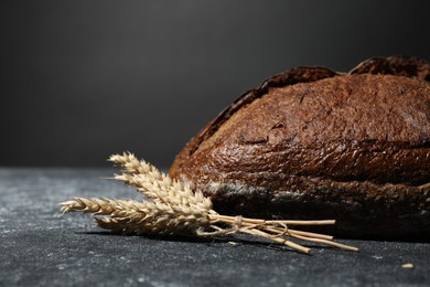 Photo of Loaf of fresh bread and spikelets on grey textured table, closeup
