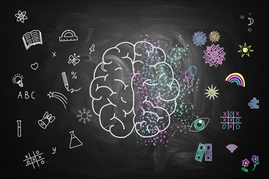 Image of Chalked brain and different drawings on blackboard showing concept of hemispheric dominance