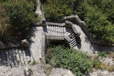Photo of Old concrete staircase and green plants outdoors, above view