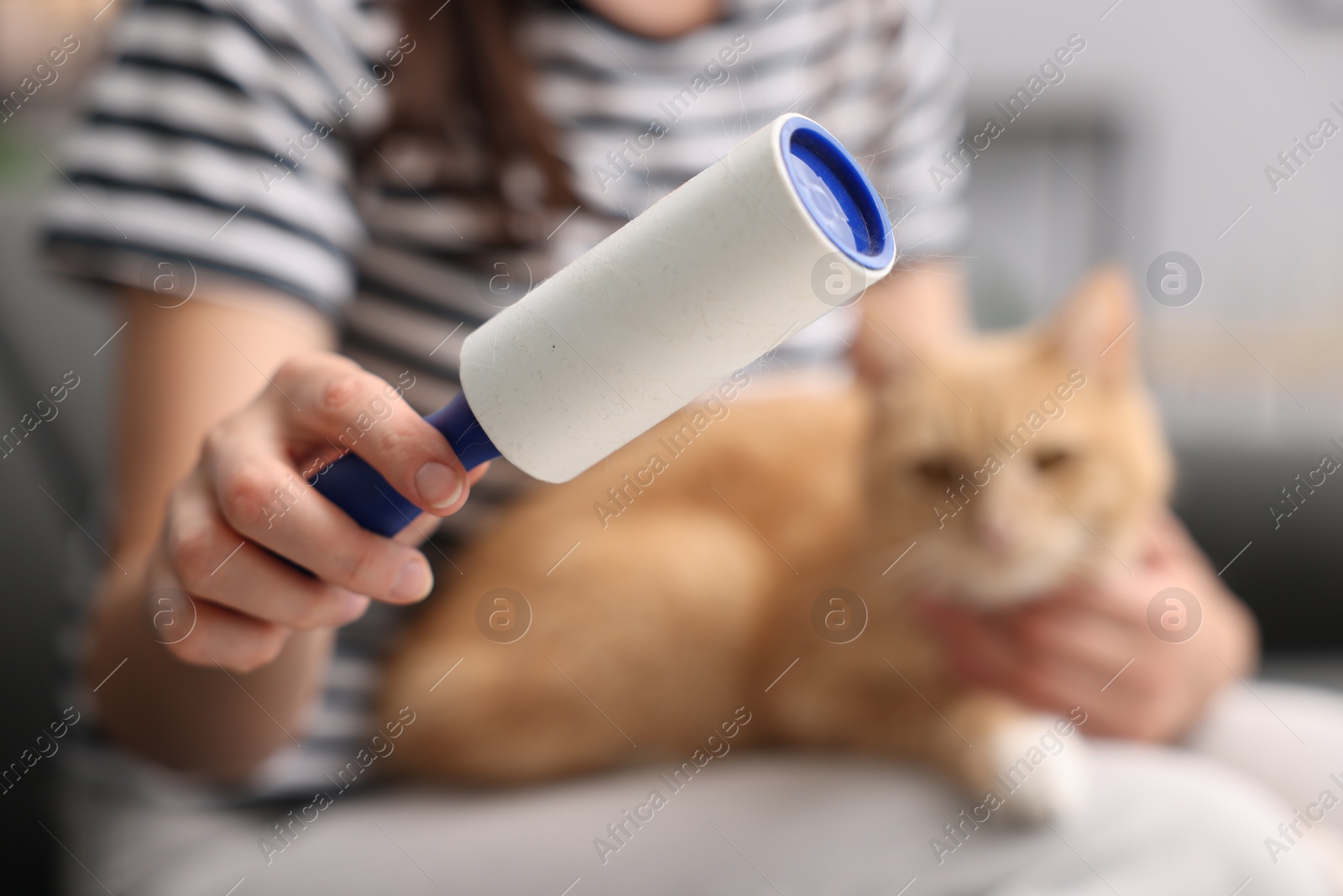 Photo of Woman with lint roller and her cat at home, selective focus