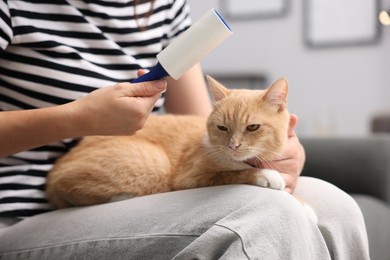 Photo of Woman with lint roller and her cat at home, closeup
