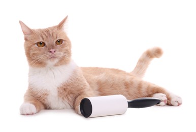 Photo of Cute cat and lint roller on white background