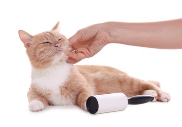 Photo of Woman stroking her cute cat and lint roller on white background, closeup