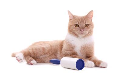 Photo of Cute cat and lint roller on white background