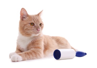 Photo of Cute cat and lint roller on white background