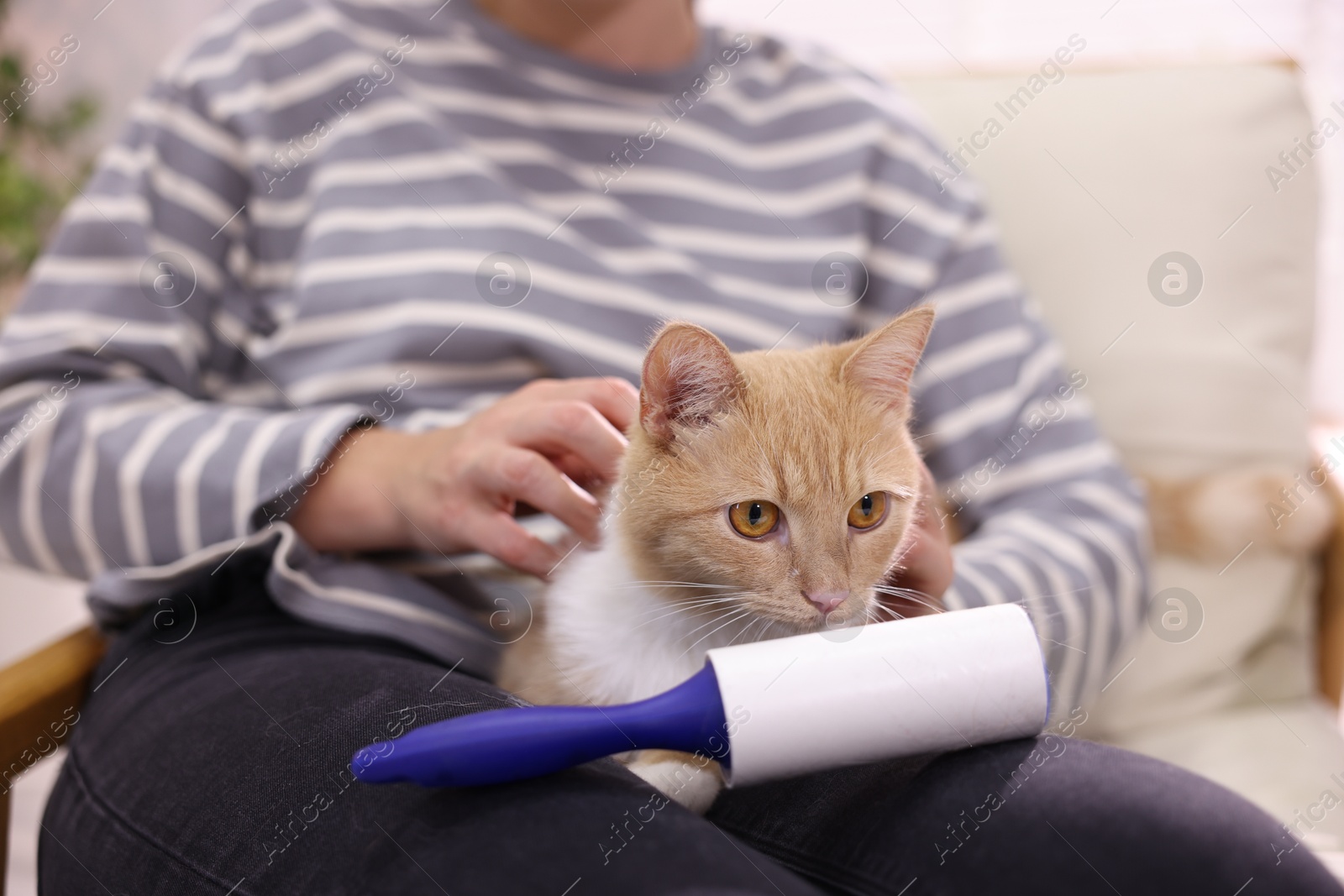 Photo of Woman with lint roller and her cat on armchair at home, closeup