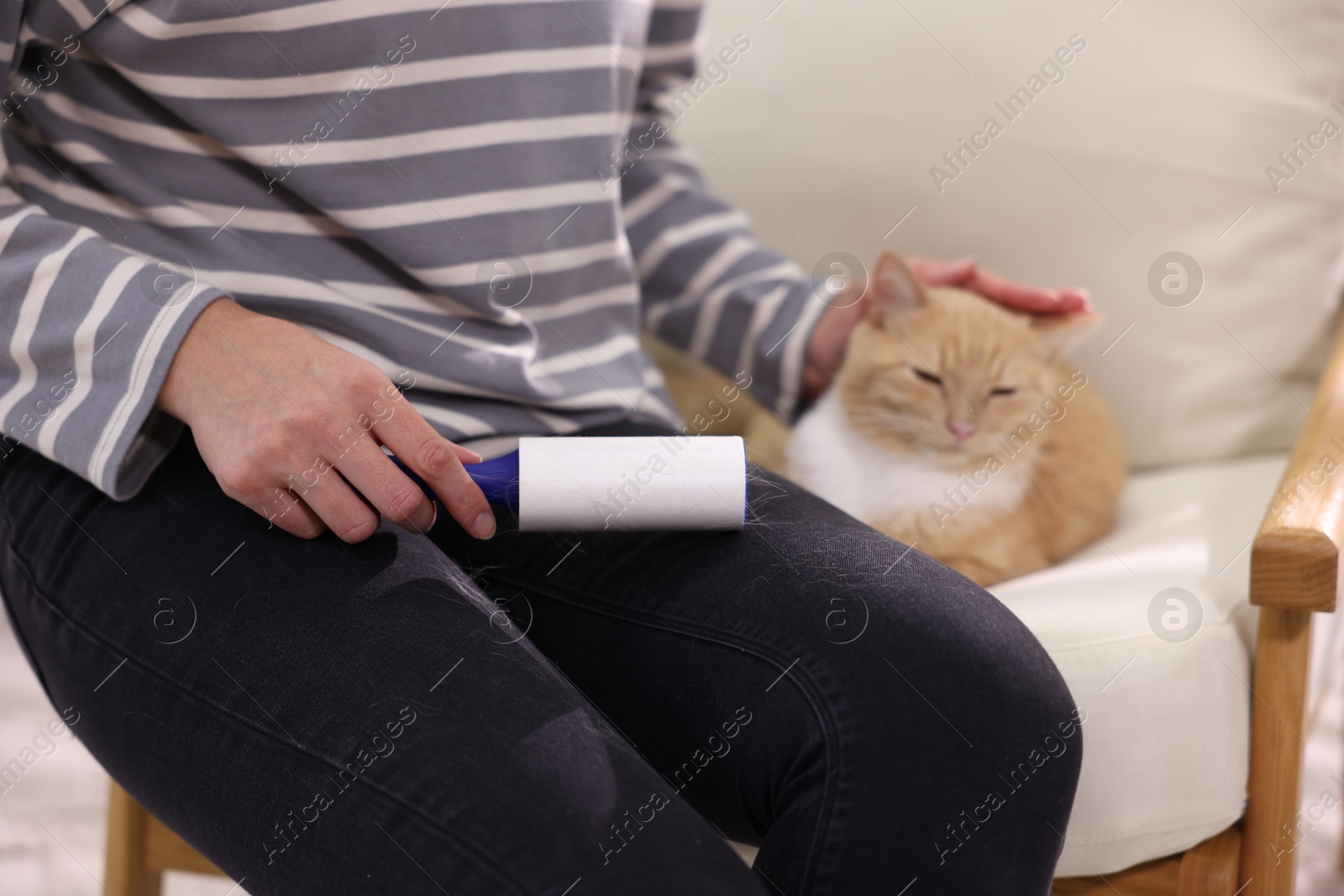 Photo of Woman with lint roller stroking her cat on armchair, closeup