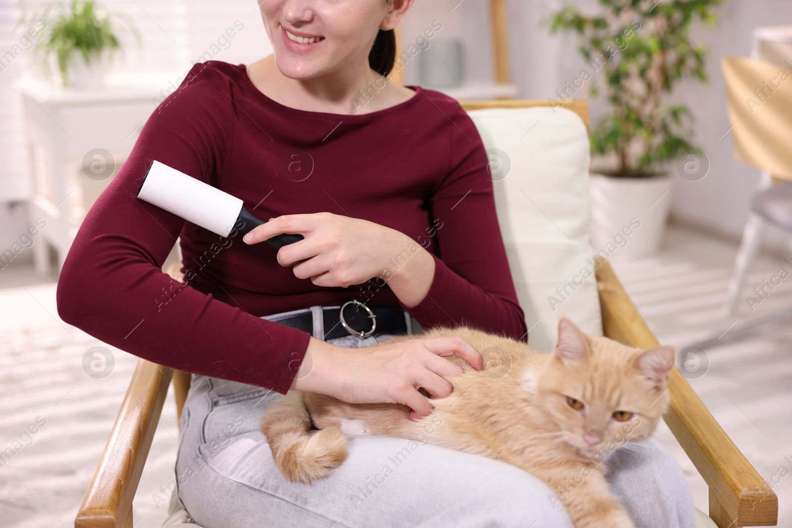 Photo of Smiling woman with lint roller removing pet's hair from clothes and her cat on armchair at home, closeup