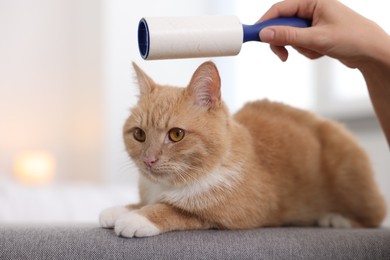 Photo of Woman rubbing down her cat with lint roller on sofa at home, closeup