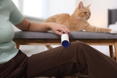 Photo of Woman with lint roller removing pet's hair from pants and her cat on bench at home, closeup