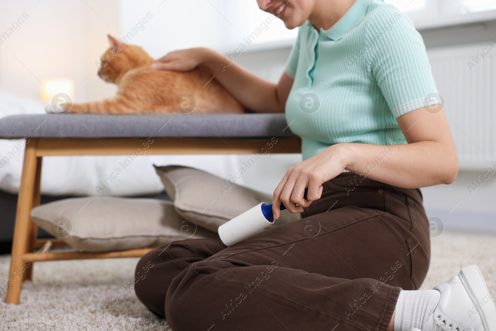Photo of Smiling woman with lint roller removing pet's hair from pants and her cat on bench at home, closeup