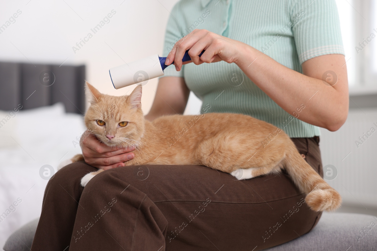 Photo of Woman rubbing down her cat with lint roller at home, closeup
