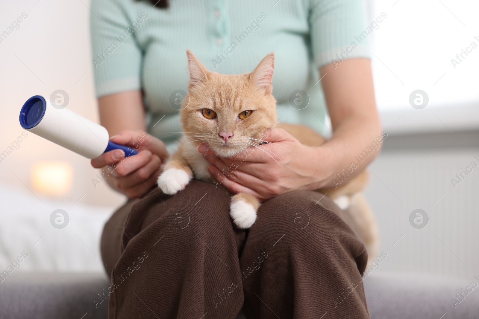 Photo of Woman with lint roller and her cat at home, closeup