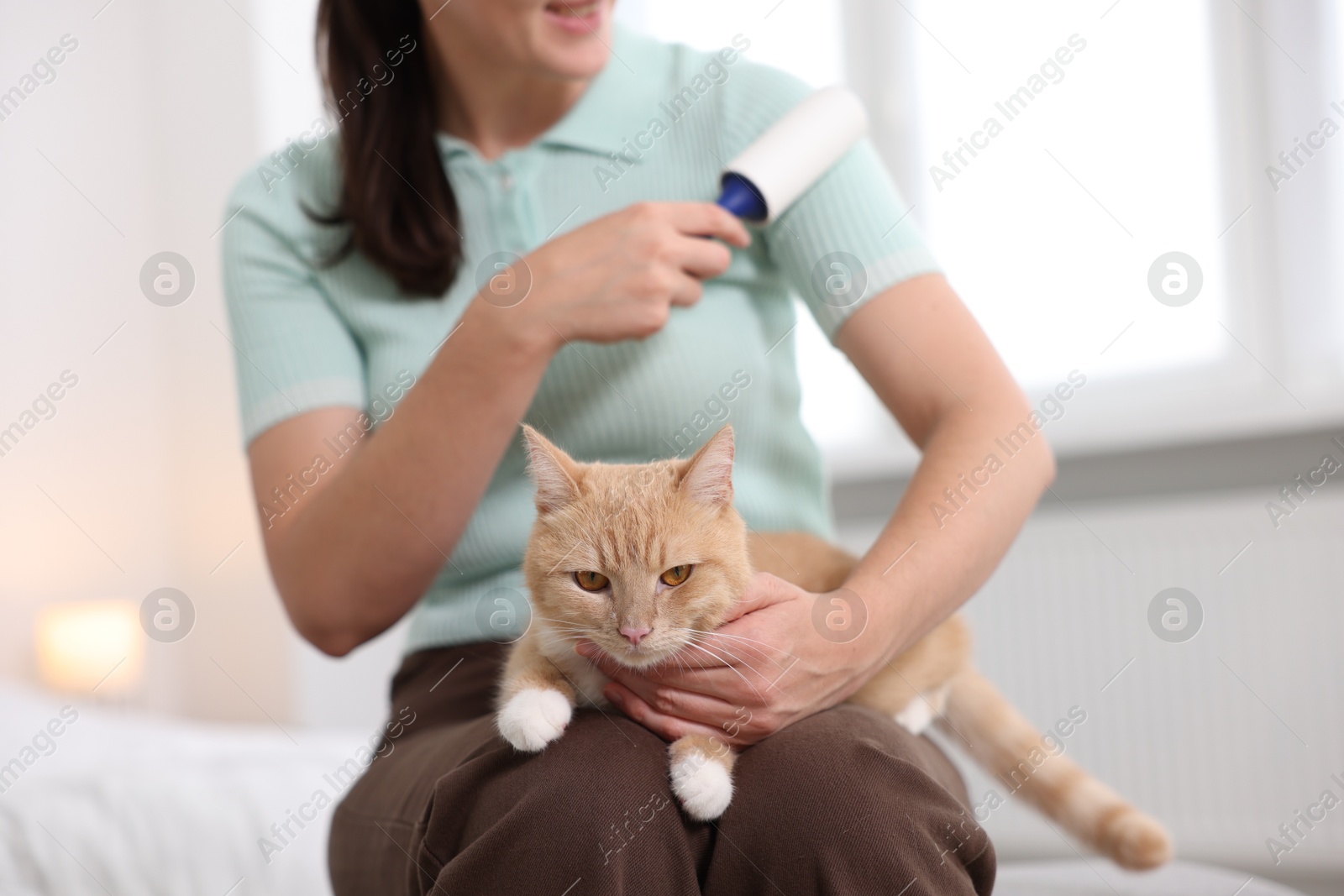 Photo of Woman with lint roller removing pet's hair from clothes and her cat at home, closeup