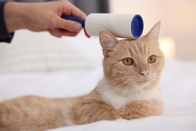 Photo of Woman rubbing down her cat with lint roller on bed at home, closeup