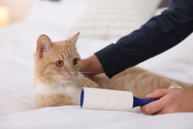 Photo of Woman with lint roller and her cat on bed at home, closeup