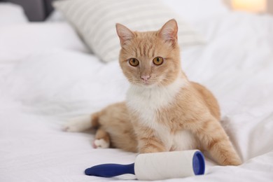 Photo of Cute cat and lint roller on bed, closeup