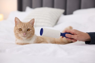 Photo of Woman with lint roller and her cat on bed at home, closeup