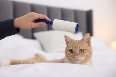 Photo of Woman with lint roller and her cat on bed at home, closeup