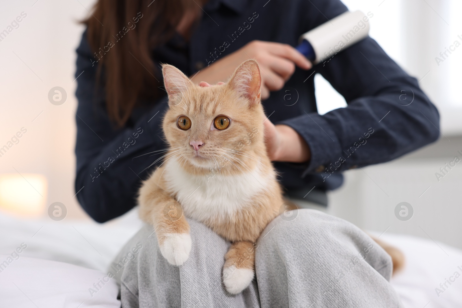 Photo of Woman with lint roller removing pet's hair from clothes and her cat on bed at home, closeup