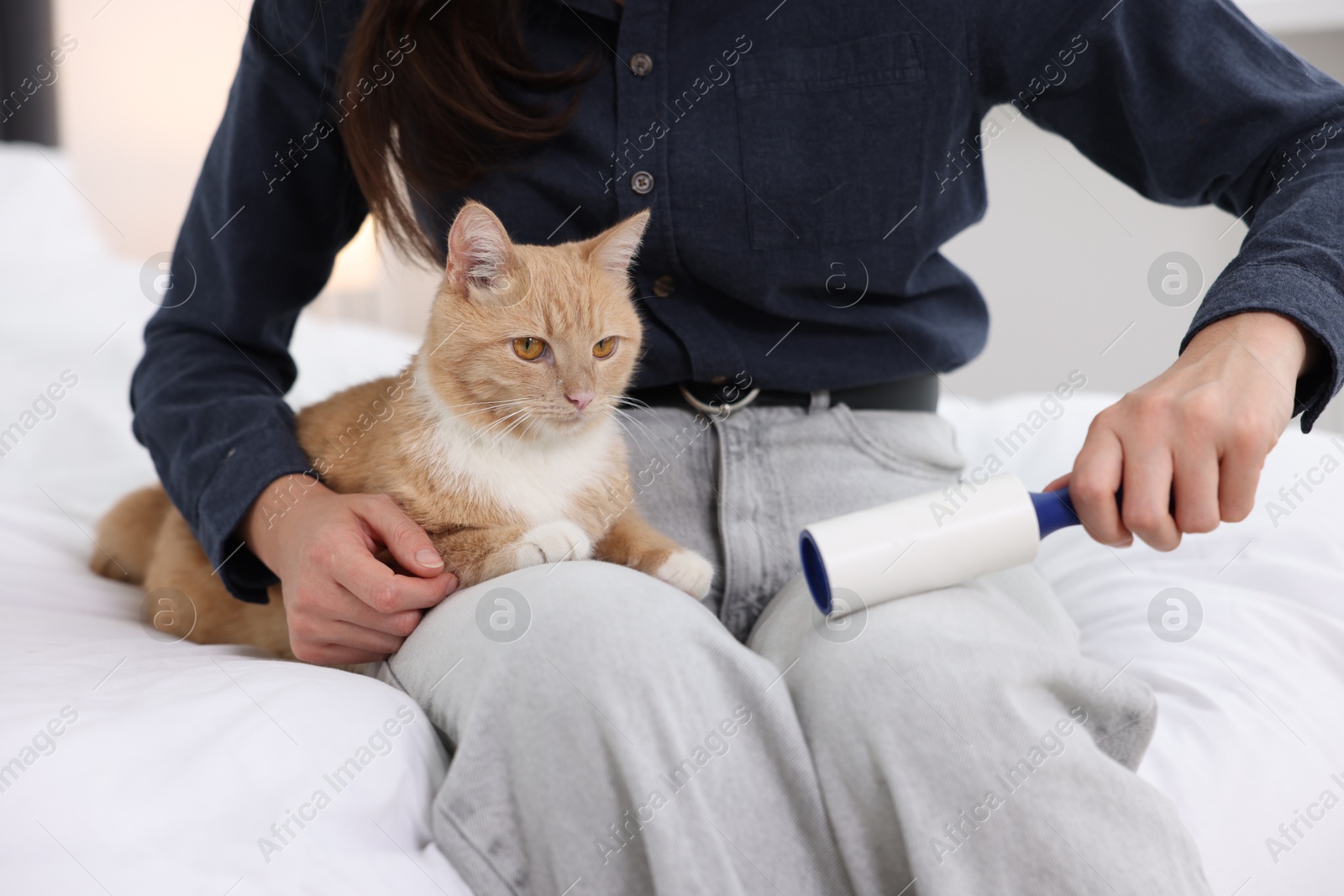 Photo of Woman with lint roller removing pet's hair from clothes and her cat on bed at home, closeup