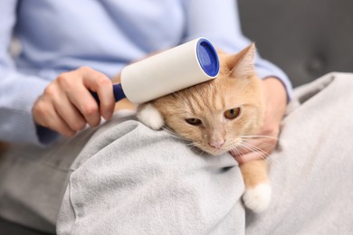 Photo of Woman rubbing down her cat with lint roller on sofa, closeup