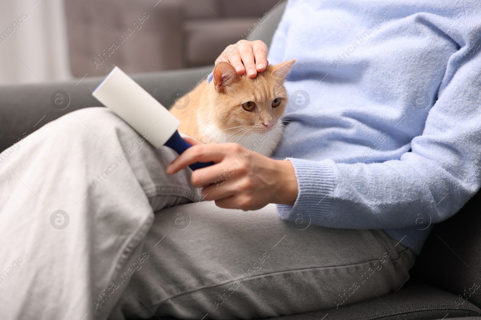 Photo of Woman with lint roller removing pet's hair from clothes and her cat on sofa at home, closeup