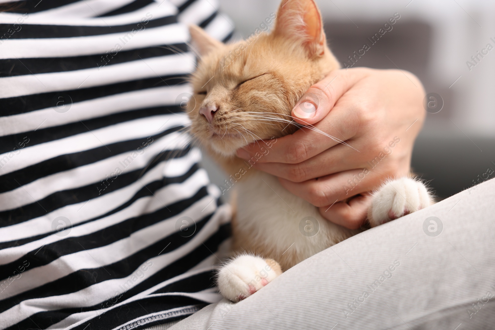 Photo of Woman with her cat at home, closeup