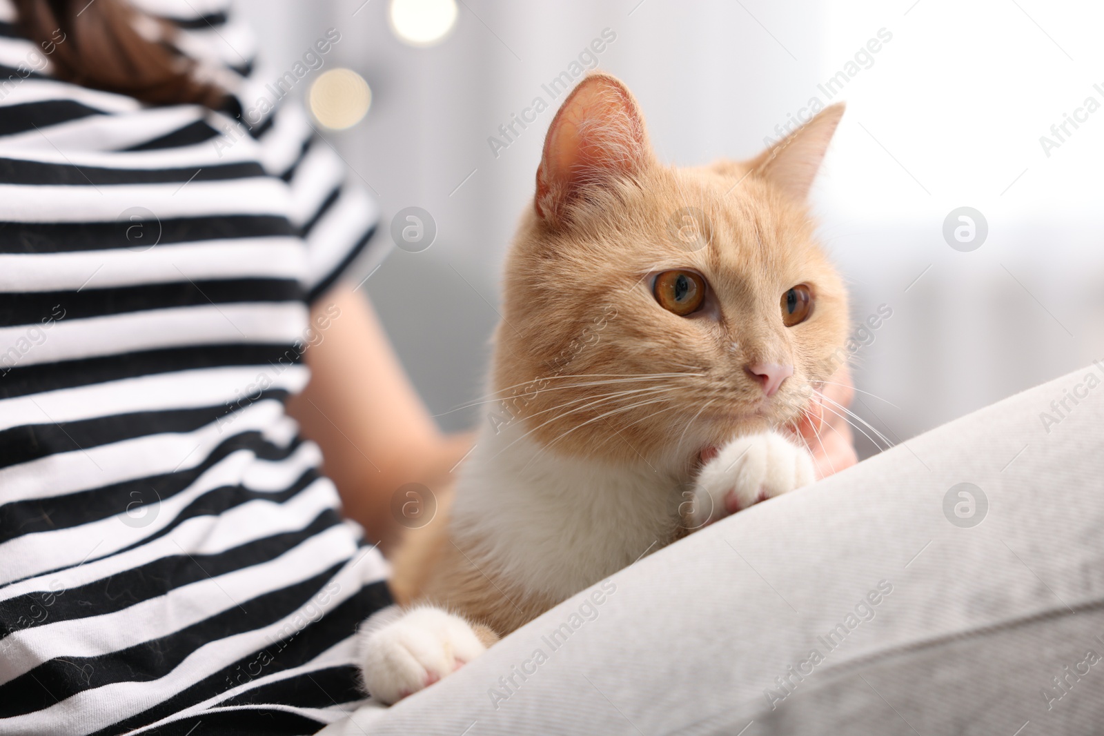 Photo of Woman with her cat at home, closeup