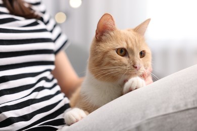 Photo of Woman with her cat at home, closeup