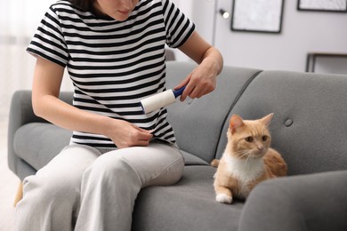 Photo of Woman with lint roller removing pet's hair from clothes and her cat on sofa at home, closeup