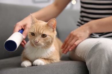 Photo of Woman rubbing down her cat with lint roller on sofa, closeup