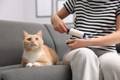 Photo of Woman with lint roller removing pet's hair from clothes and her cat on sofa at home, closeup