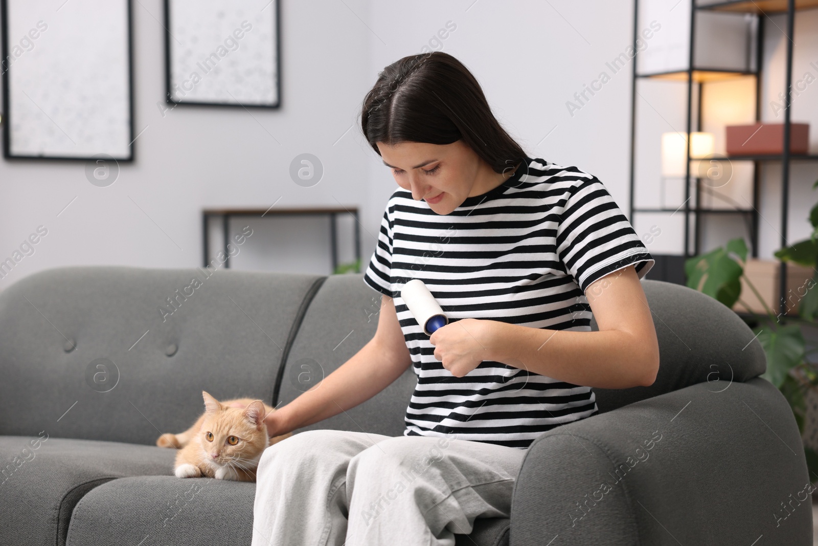 Photo of Woman with lint roller removing pet's hair from clothes and stroking her cat on sofa at home