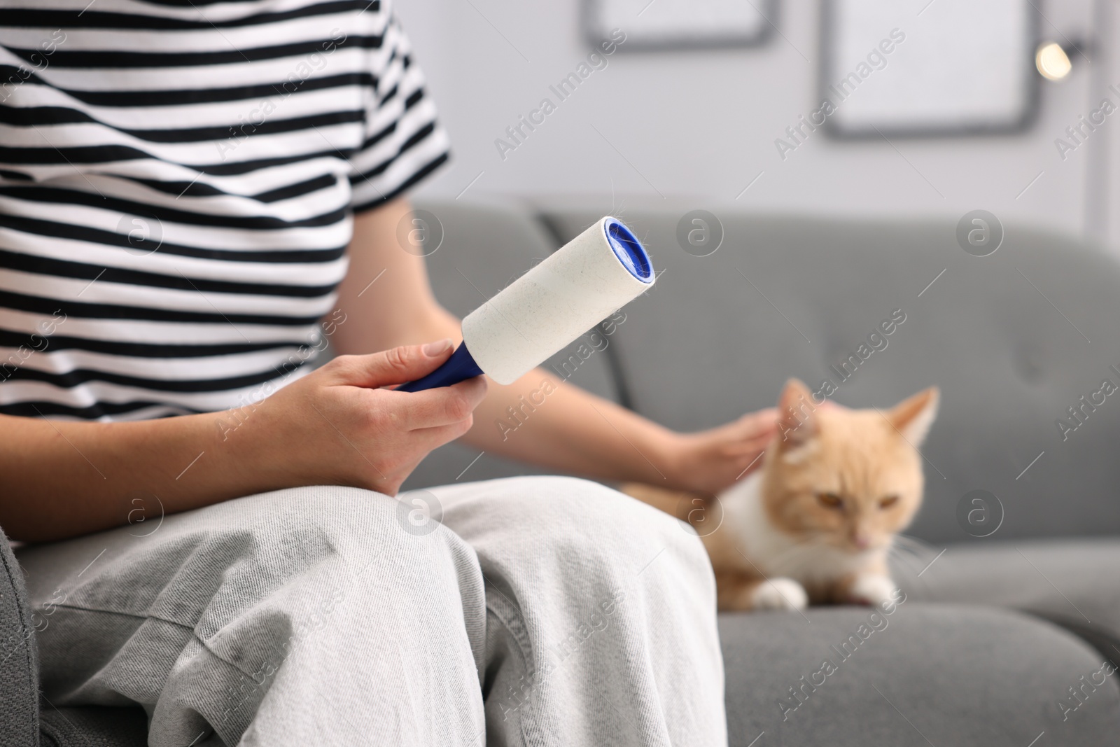 Photo of Woman with lint roller stroking her cat on sofa at home, closeup