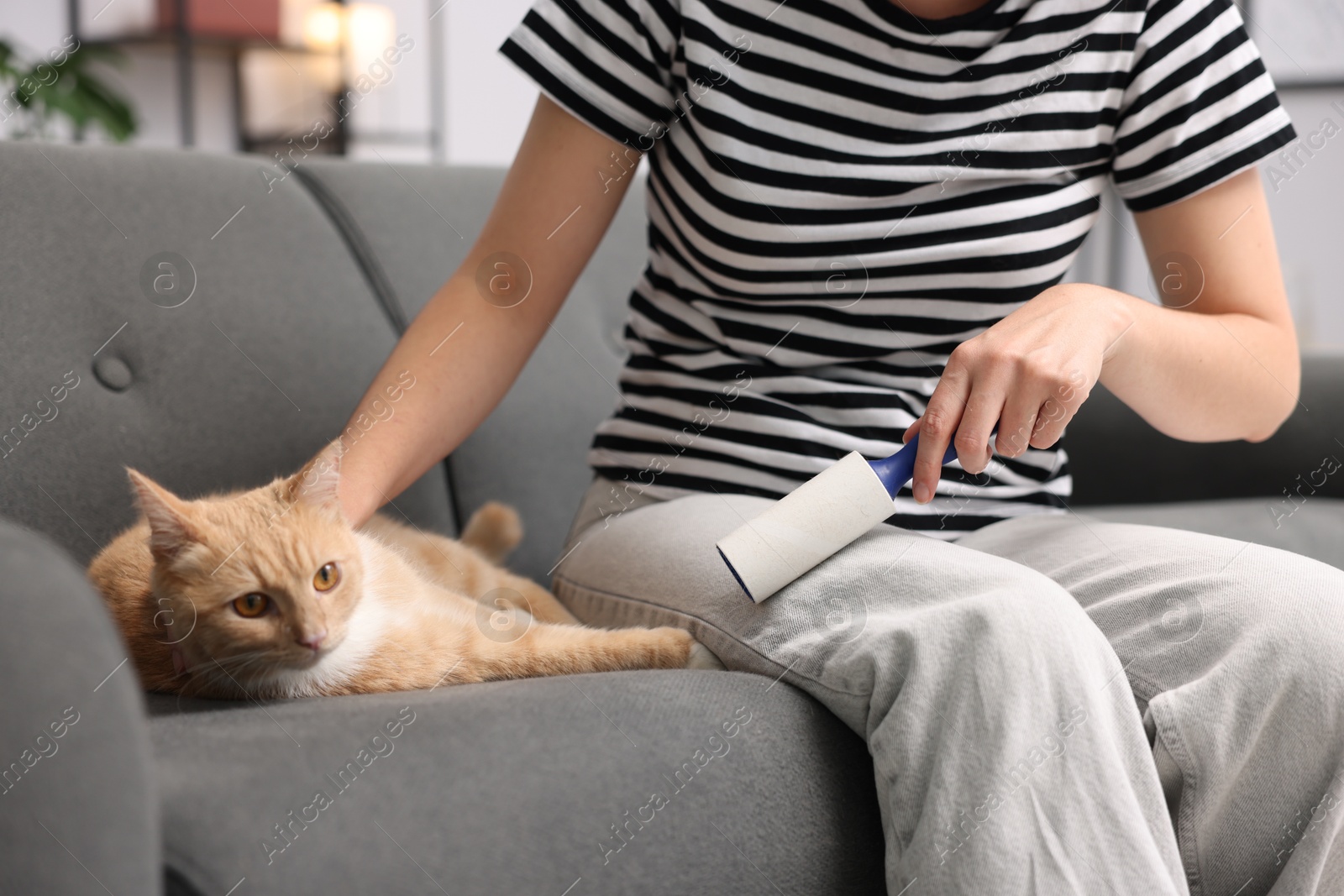 Photo of Woman with lint roller removing pet's hair from pants and stroking her cat on sofa at home, closeup
