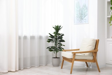 Photo of Comfortable armchair and green houseplant near window in room