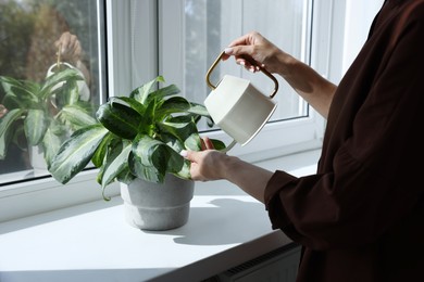 Photo of Woman watering green houseplant near window indoors, closeup