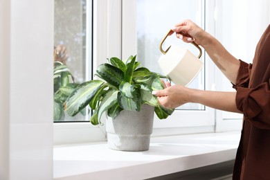 Photo of Woman watering green houseplant near window indoors, closeup