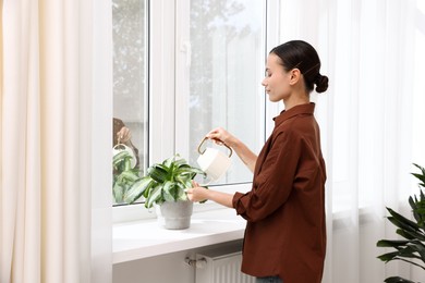 Photo of Woman watering green houseplant near window indoors