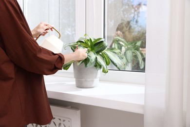 Photo of Woman watering green houseplant near window indoors, closeup