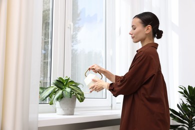 Photo of Woman watering green houseplant near window indoors