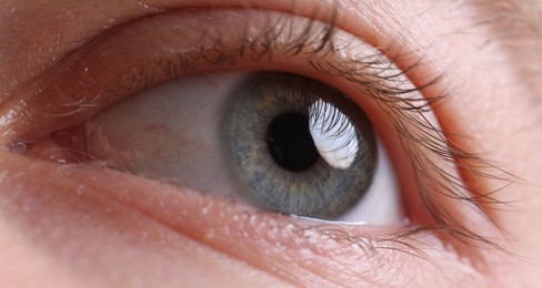 Photo of Macro view of man with beautiful eyes, closeup