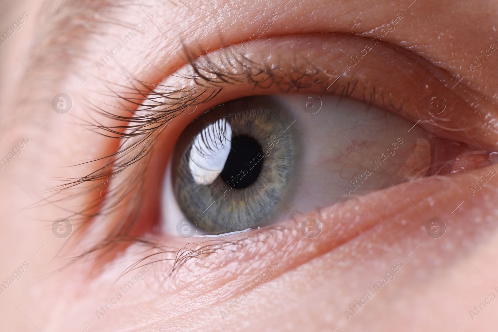 Photo of Macro view of man with beautiful eyes, closeup