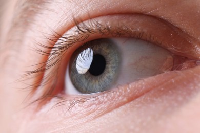 Photo of Macro view of man with beautiful eyes, closeup