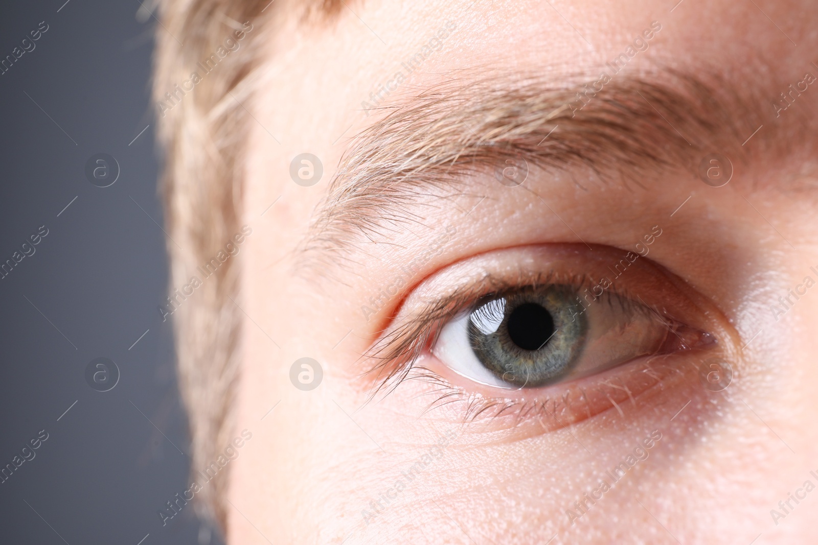 Photo of Man with beautiful eyes on grey background, closeup