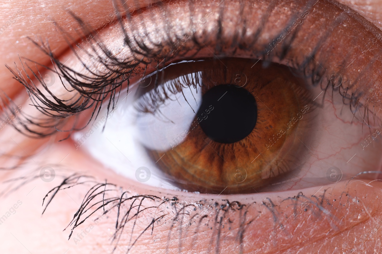 Photo of Macro view of woman with beautiful eyes, closeup