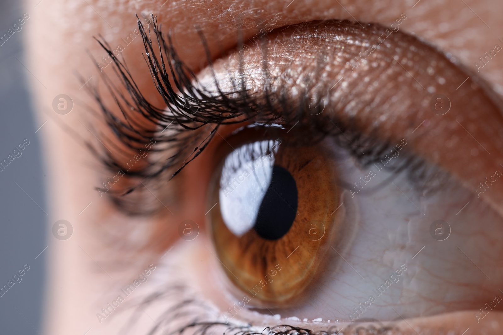 Photo of Macro view of woman with beautiful eyes on grey background, closeup